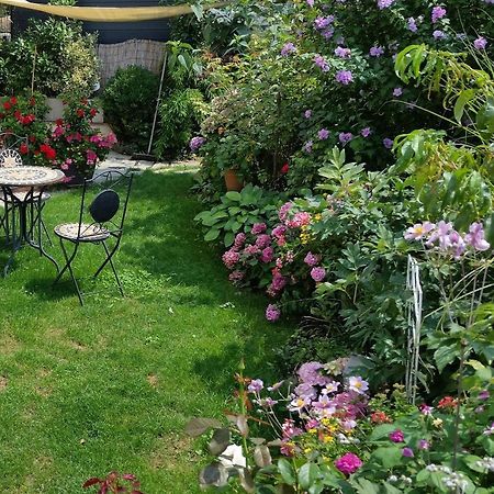 Ferienwohnung Am Berg, 35Qm Rickenbach  Экстерьер фото