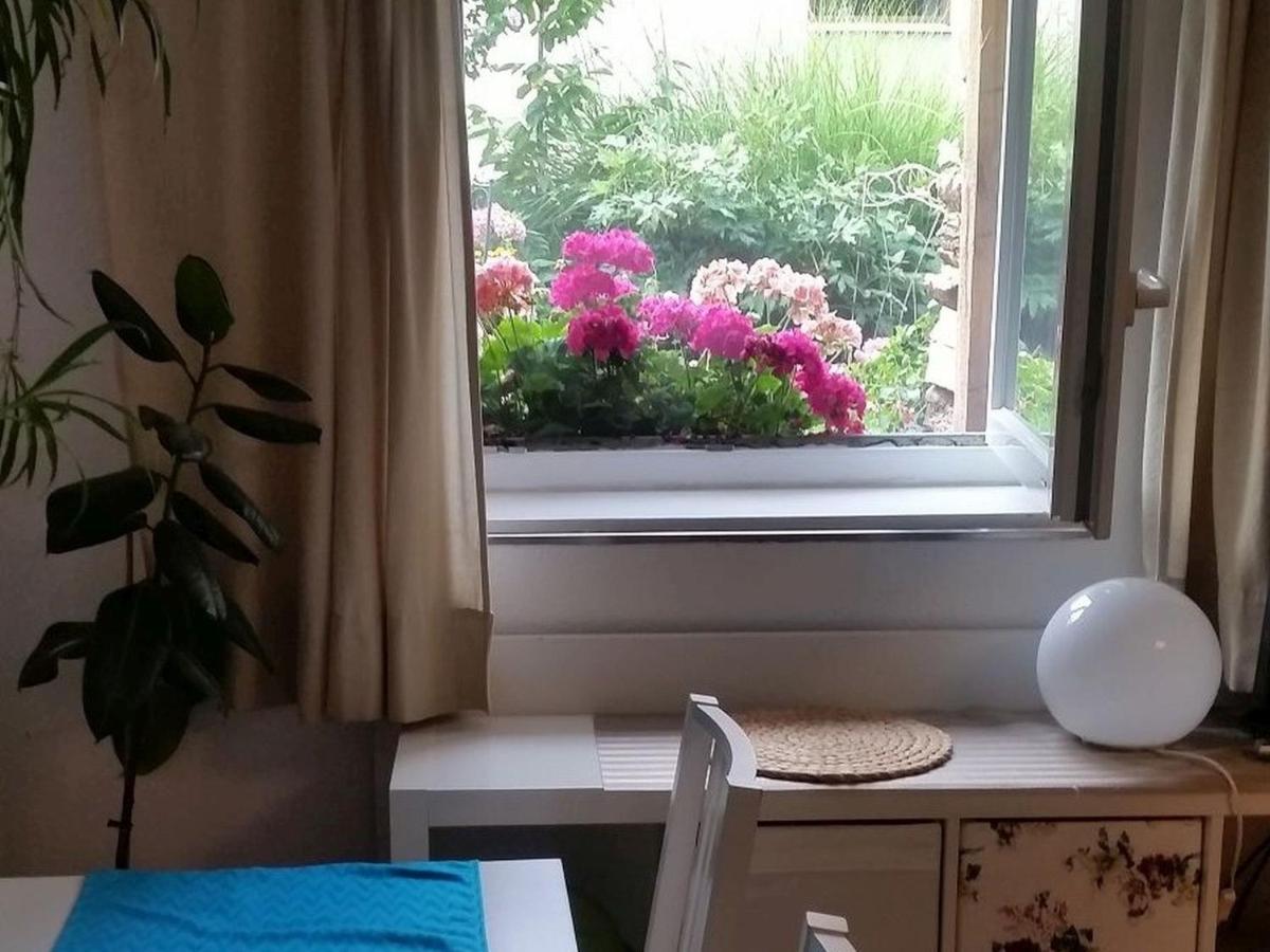 Ferienwohnung Am Berg, 35Qm Rickenbach  Экстерьер фото