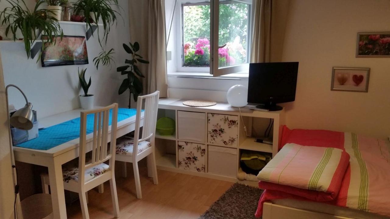 Ferienwohnung Am Berg, 35Qm Rickenbach  Экстерьер фото