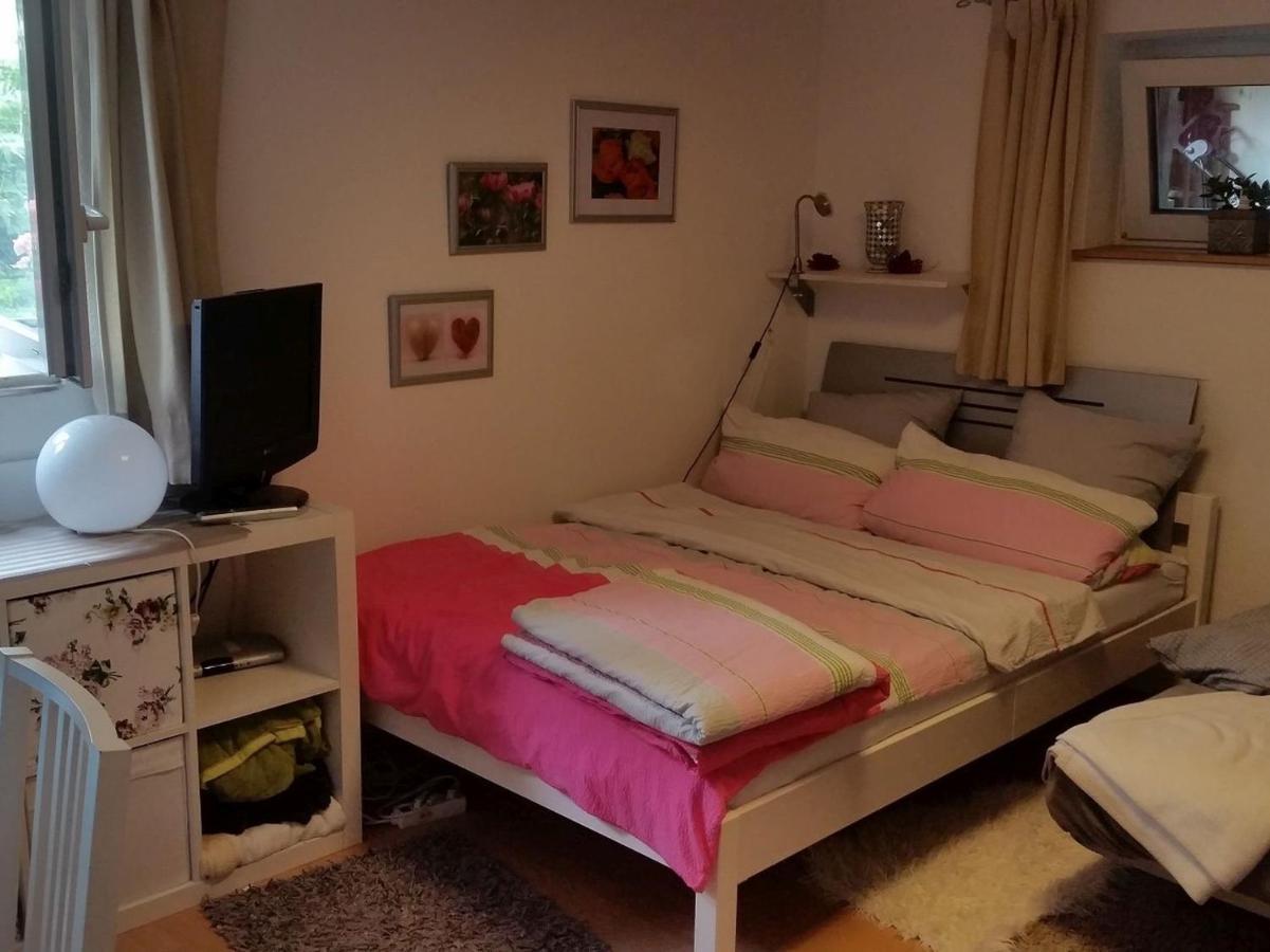 Ferienwohnung Am Berg, 35Qm Rickenbach  Экстерьер фото