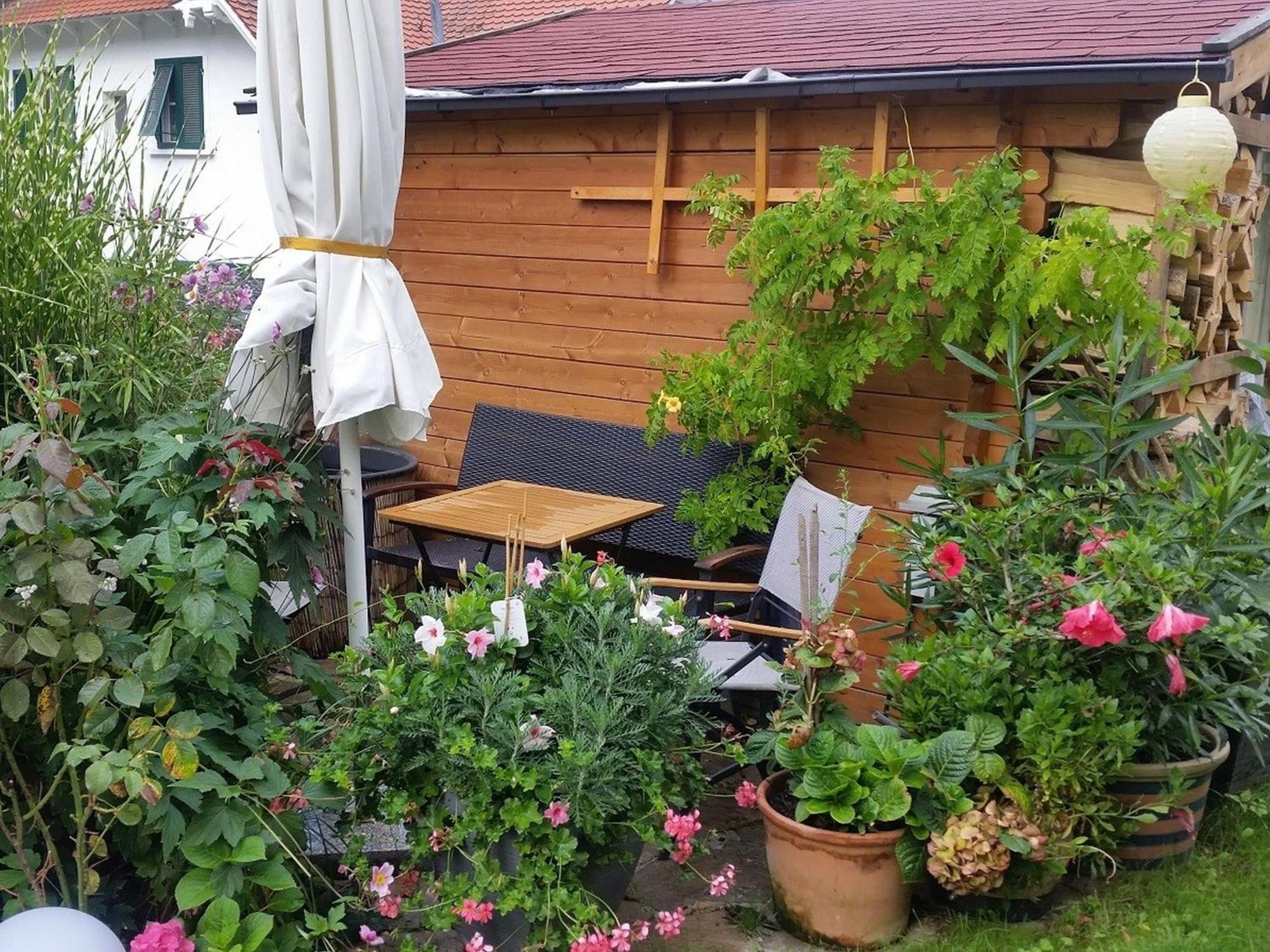 Ferienwohnung Am Berg, 35Qm Rickenbach  Экстерьер фото